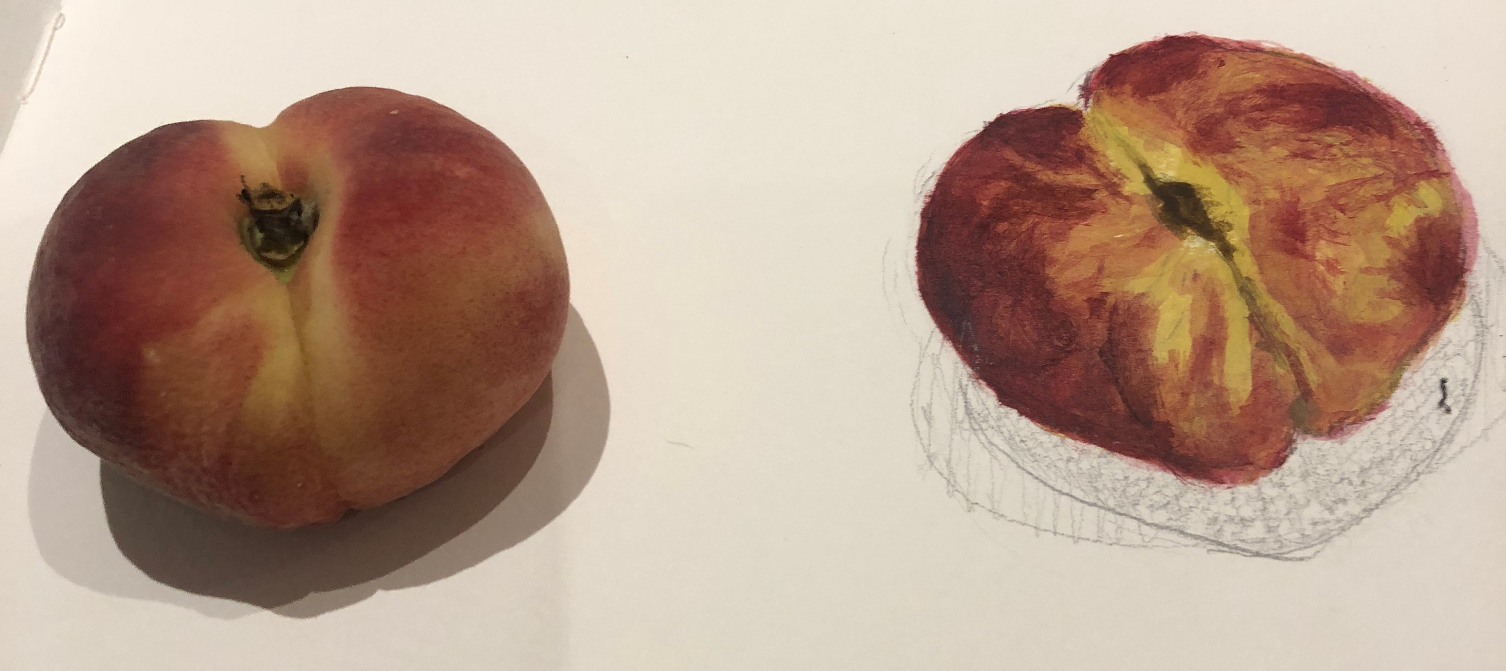 47C4FBF2-6064-43BE-88AD-B85EB8B4F5E6