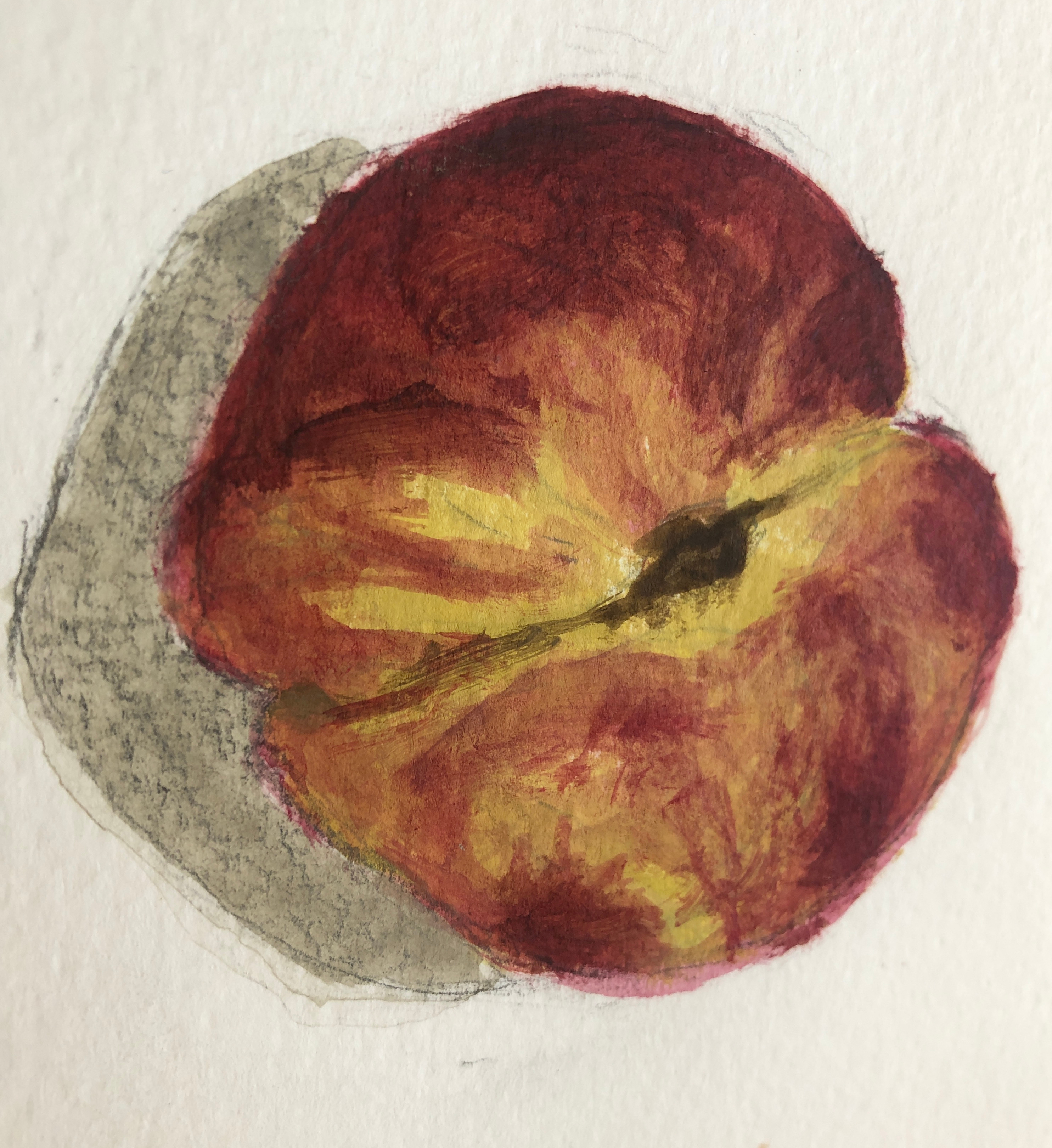 53F913E7-0265-4808-B25C-3DED210A7152